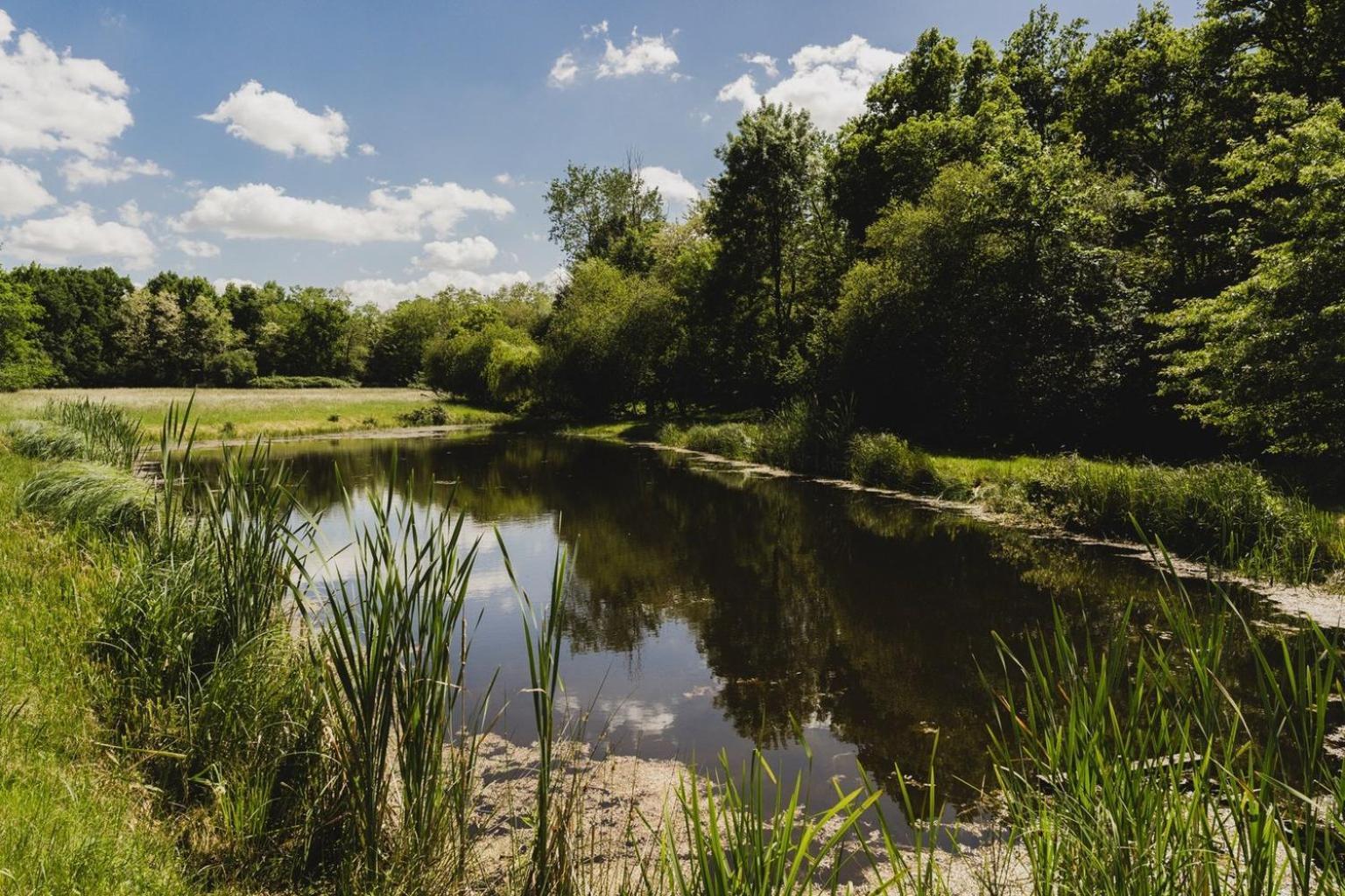 Domaine De Montizeau Bed & Breakfast Lailly-en-Val Bagian luar foto